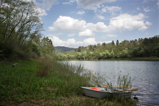istock Skiff on Solina shore in spring 1135395140