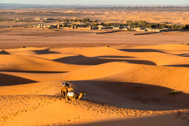 Horseback rider at sunset