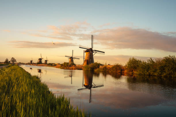 Old windmills in Kinderdijk at sunrise (Netherlands) stock photo