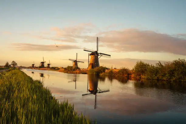 Group of old, traditional windmills along canal in Kinderdijk, Netherlands at sunrise.