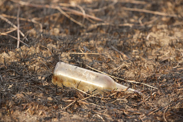 istock An empty glass charred bottle is lying on grass that has been baked out. Ecological catastrophy. Spring tan green cover. Danger of fire. The destruction of life and pollution. Problems of civilization 1135397307