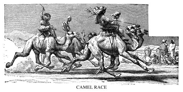 Camel race - Scanned 1890 Engraving