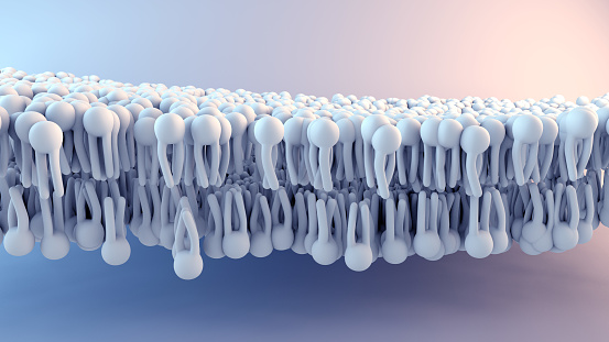 Estructura de membrana celular en movimiento photo