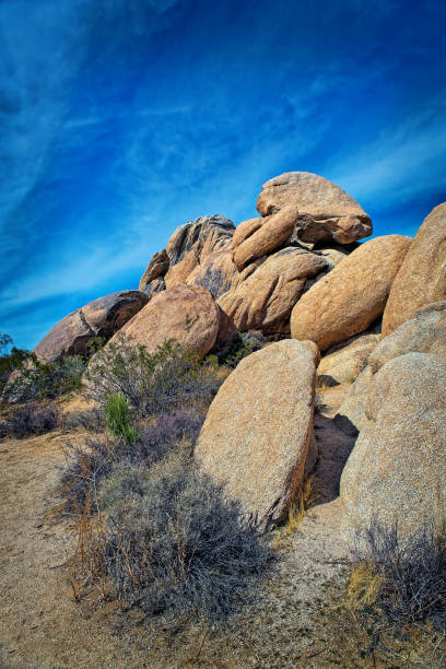 istock Joshua Tree National Park 1135400998