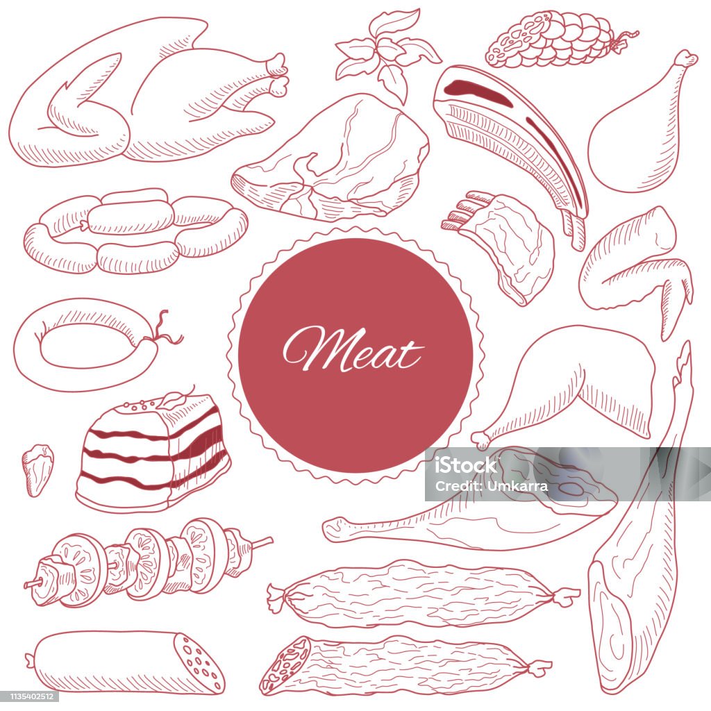 set of meat and meat products of different breeds of livestock and birds. Doodle. Vector Animal Body Part stock vector