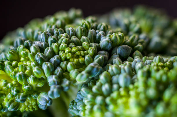 istock Macro photography of a Broccoli crown 1135404063