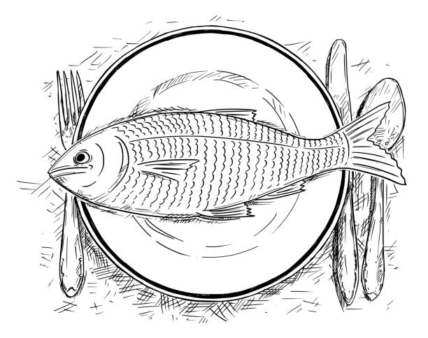 rysunek rysunek z góry widok ryb żywności na talerzu - ready to eat stock illustrations