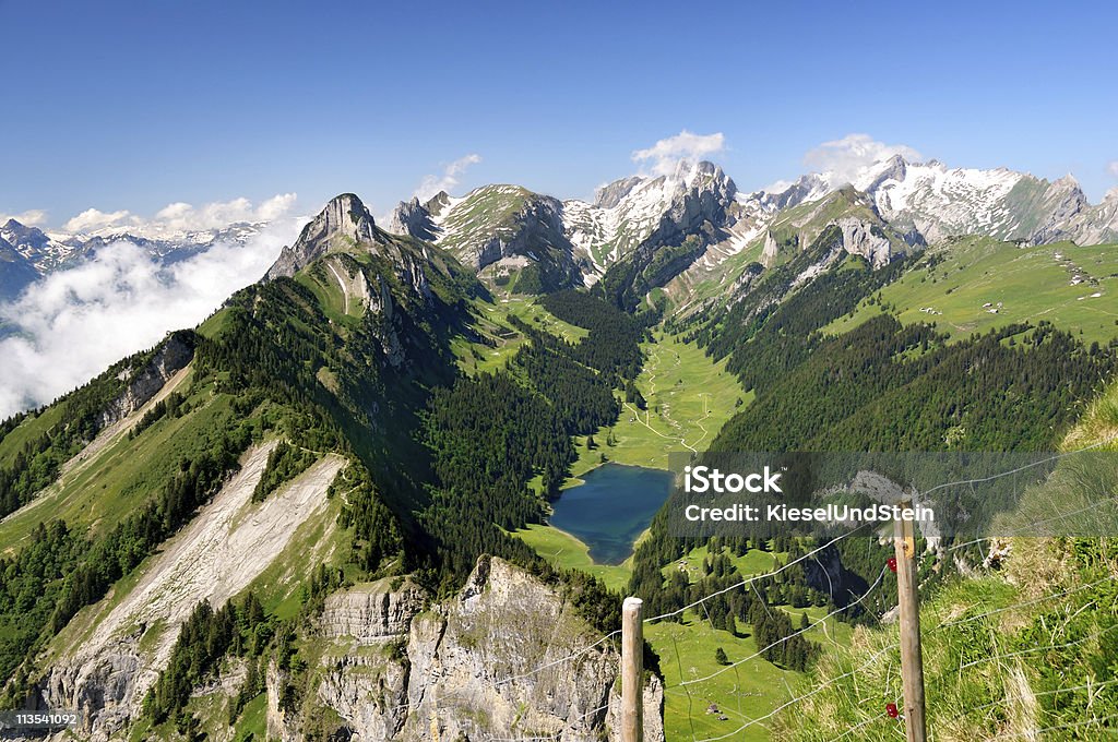 La Suisse - Photo de Clôture libre de droits