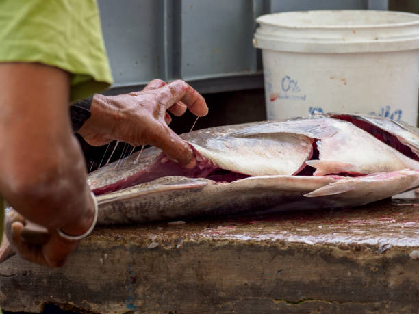 istock Man Cutting Fresh-Caught Fish At Fish Market 1135412253