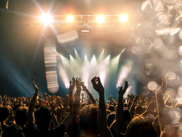 istock Music festival crowd 1135412806
