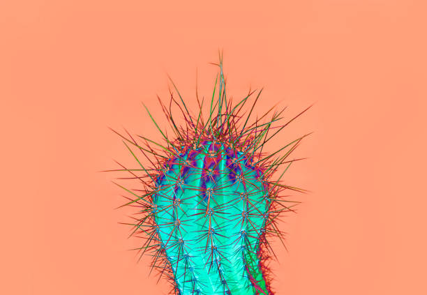 istock Background with cactus in trendy color 1135415277