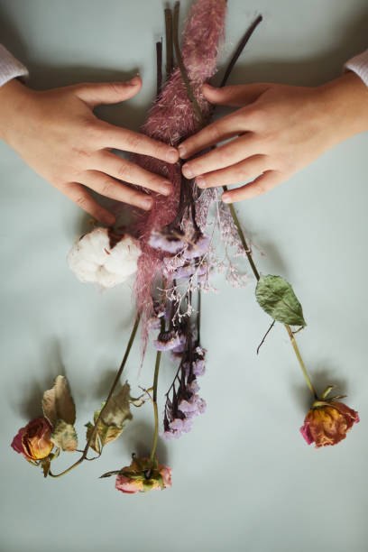 Above view closeup of little girl holding dry flowers composition on white background or table