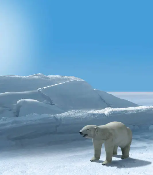 Ice bear hunting in arctic region on a sunny day, 3d render