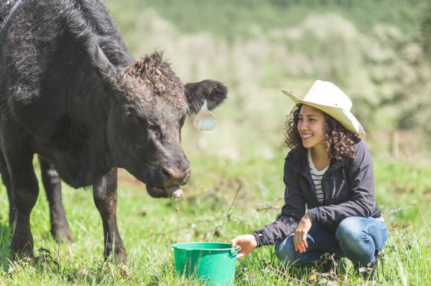istock Female farmer feeds her cow in the pasture 1135422054
