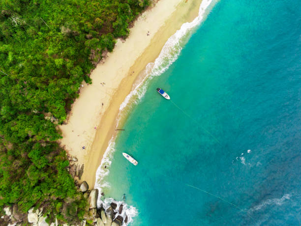 istock Tayrona National Park 1135422136