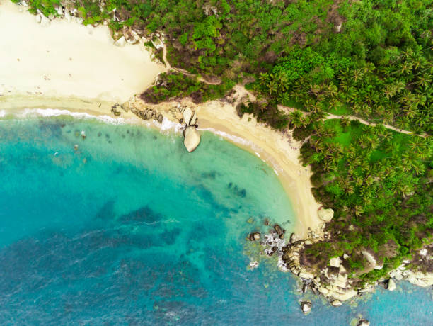 istock Tayrona National Park 1135424341