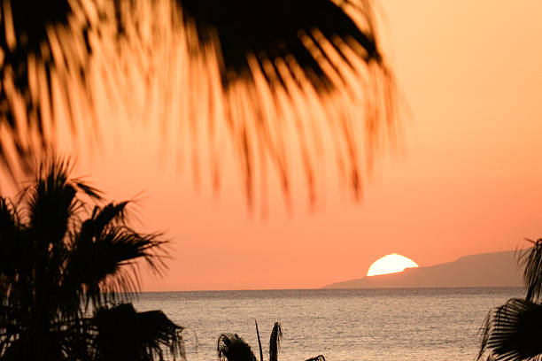 ao pôr do sol tropical, ilhas canárias - playa de las américas imagens e fotografias de stock