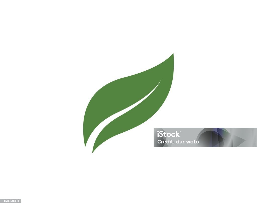 Visual Tree Leaf Tree Leaf Vector Design Stock Illustration - Download Image Now ...