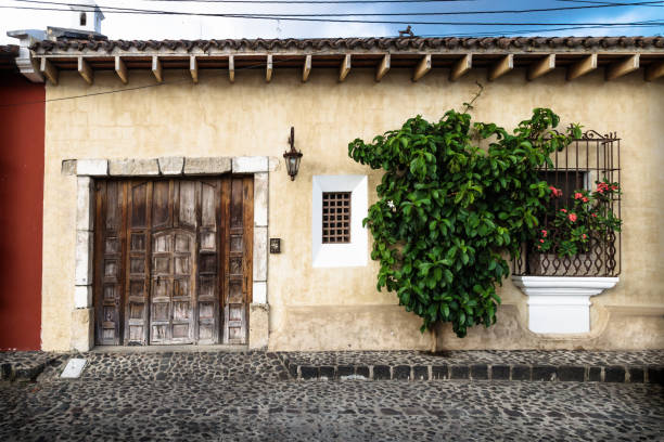 Traditional collonial house with wooden old door with tree, Antigua, Guatemala