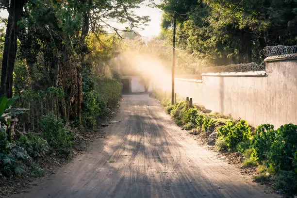 Dirtroad to a coffee plantation finca lined by trees and wall land with sunbeam, Antigua, Guatemala