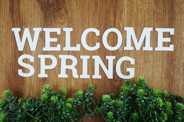 istock Welcome Spring with green leave on wooden background 1135435594