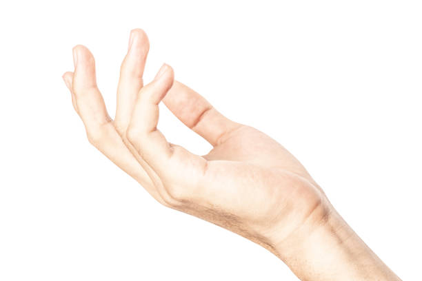 istock Hand open and ready to help or receive. Gesture isolated on white background with clipping path. 1135436147
