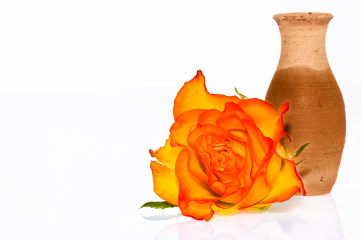 Orange rose and ceramic vase.
