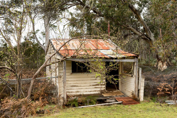 istock Small abandoned and derelict timber weaterboard hut 1135437517