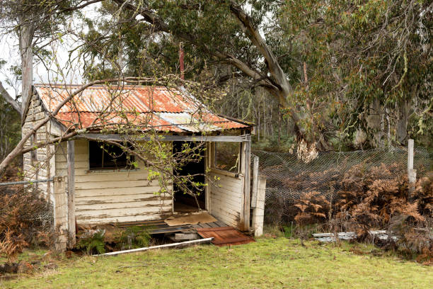istock Small abandoned and derelict timber weaterboard hut 1135437534