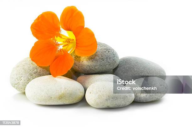 Blume Und Rocksspastil Stockfoto und mehr Bilder von Zen - Zen, Blume, Erholung