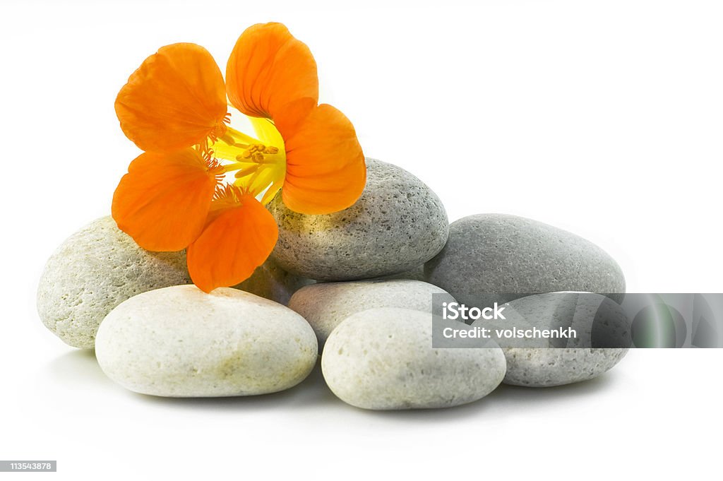 Flor y rocas de spa tema - Foto de stock de Zen libre de derechos