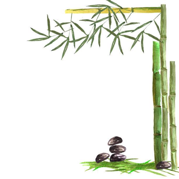 ilustrações de stock, clip art, desenhos animados e ícones de handdrowning watercolor illustration bamboo frame with stones and leafes - leafes