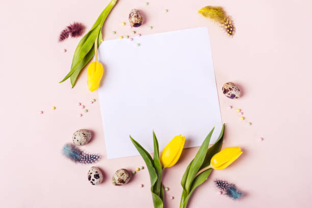istock Easter holiday frame for greeting message. Yellow tulips, eggs and feathers around sheet of paper 1135444662