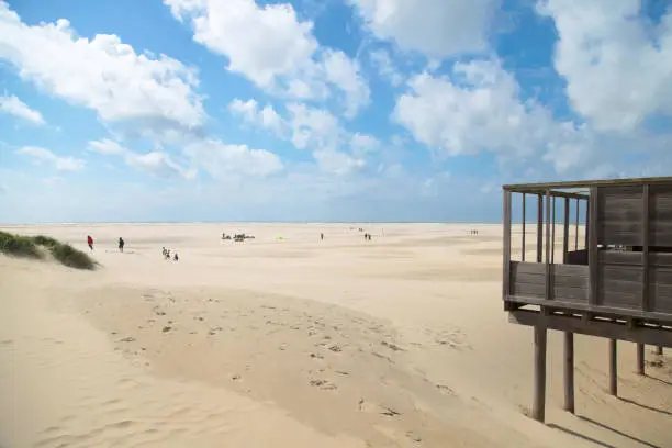 Sandy dunes, beach and sea in the Netherlands in beautiful summer day