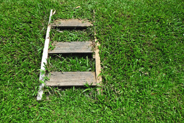 The way path in outdoor green grass park