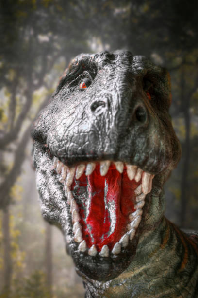 istock dinosaur tyrannosaurus rex 1135449470