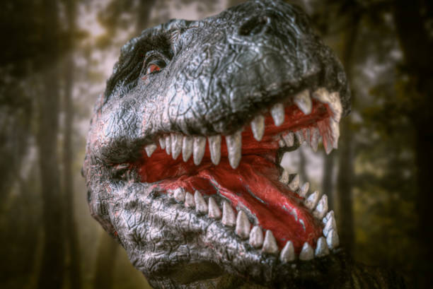 istock dinosaur tyrannosaurus rex 1135449474