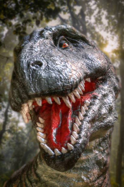 istock dinosaur tyrannosaurus rex 1135449495