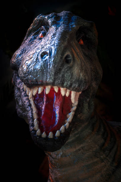 istock dinosaur tyrannosaurus rex 1135449496