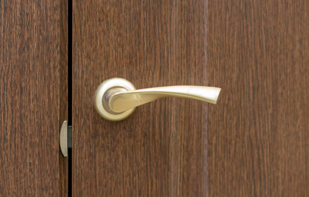 Sleek metal knob on a wooden door in a minimalist setting. Contemporary design element in a clean, bright space.