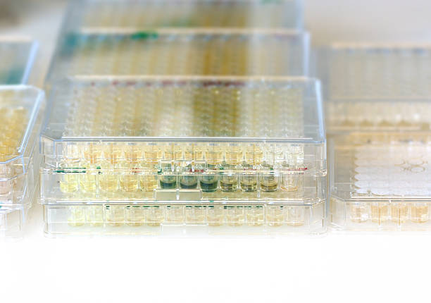 Screening assays stock photo