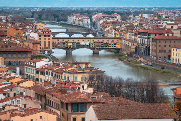 istock Florence city view from above 1135456405