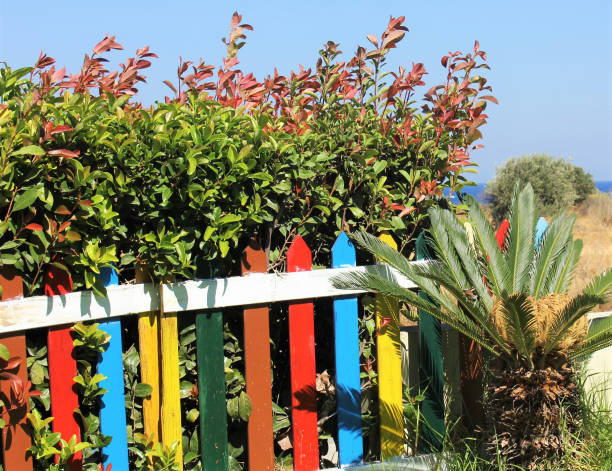 istock multicolored wooden fence on the beach 1135456526