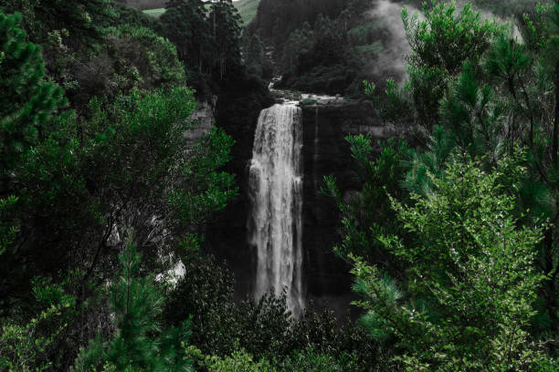 istock Magical hidden waterfall on a misty morning. 1135459004