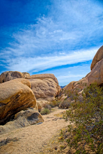 istock Big Rocks at Joshua Tree National Park 1135463788