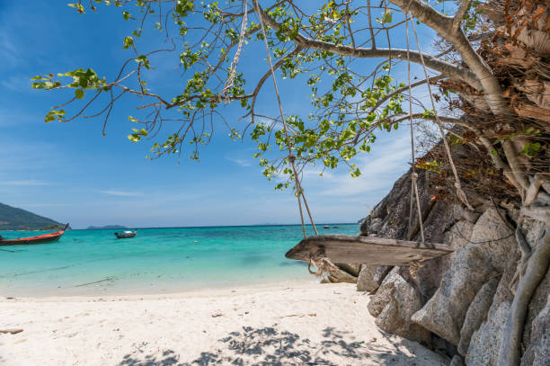 istock Wooden swing hanging tree on the tropical beach 1135463859