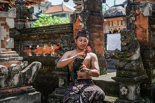 Balinese Man Holding Chicken