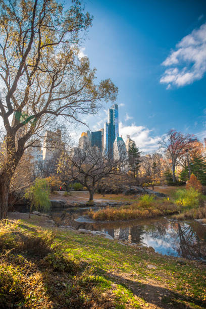 istock New York City Manhattan Central Park 1135466590