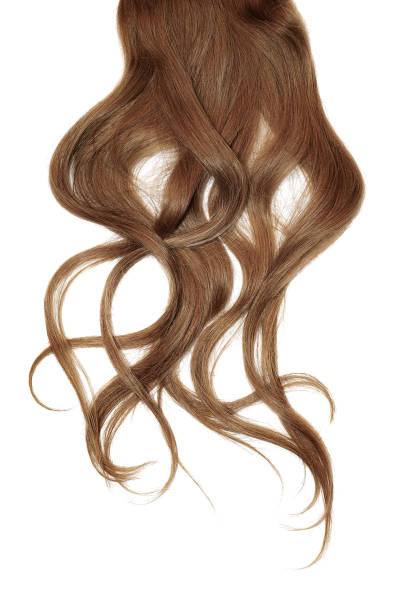 istock Disheveled brown hair isolated on white background 1135467618