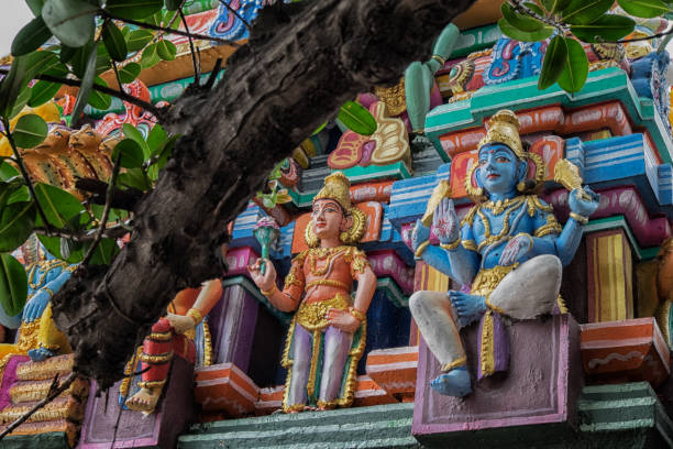 Detail of Kapaleeswarar Temple, Chennai, India Colorful Hindu sculptures on Kapaleeswarar temple, behind a tree branch kapaleeswarar temple photos stock pictures, royalty-free photos & images